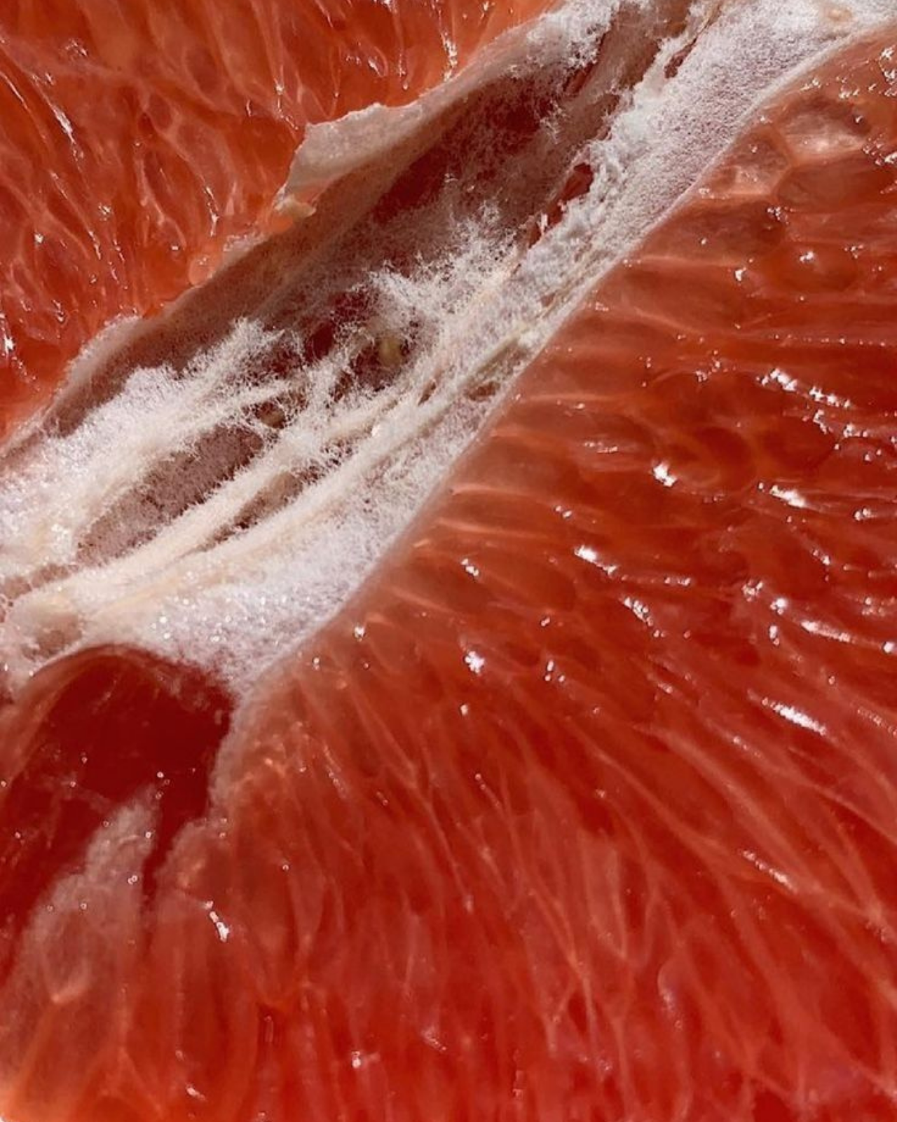 Masturbation féminine